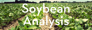 Link to Soybean Analysis