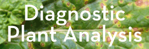 Diagnostic Plant Analysis